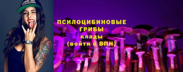 а пвп мука Баксан