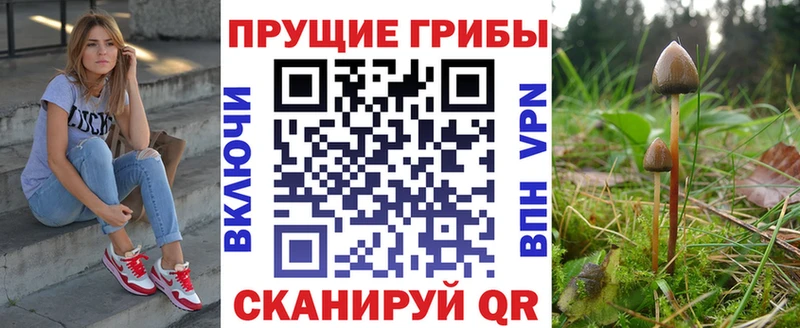 даркнет сайт  Мытищи  Псилоцибиновые грибы Psilocybine cubensis 